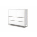 Storage Cabinet