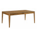 EDGE RECTANGULAR DINING TABLE W/ TWO 20" LEAVES 